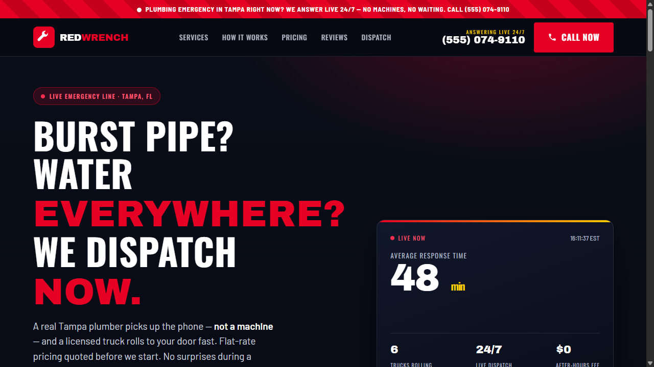 Plumbing demo site preview